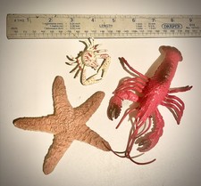 National Marine Aquarium collectables - collecta  Starfish Crab & Lobster