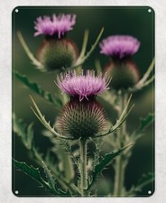 Scottish Flowers Thistle Metal