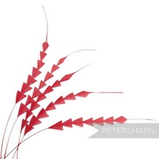Zig Zag Coque Feather for