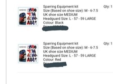 taekwondo sparring kit