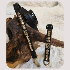 Staffy Puppy Show Style Collar