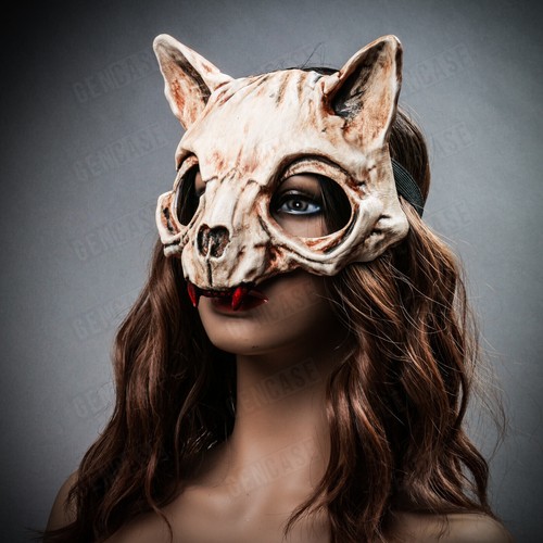 Bone wild cat animal - wild,