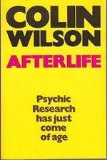 Afterlife by Wilson, Colin
