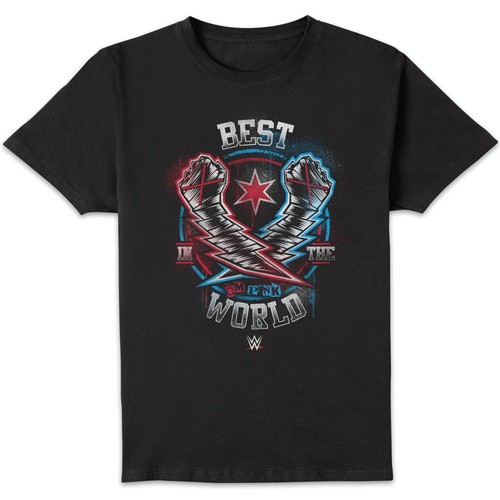Wwe punk best - punk, world
