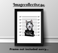 ALASKAN HUSKY DOG PET A4 PRINT