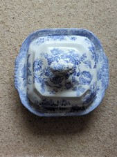 Blue Asiatic Pheasant Taureen