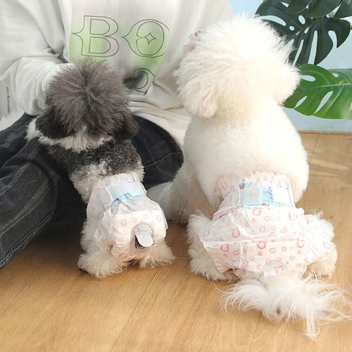 120pcs male and - male, dog