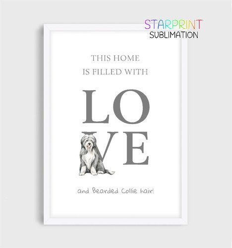 Bearded collie this - collie, home"