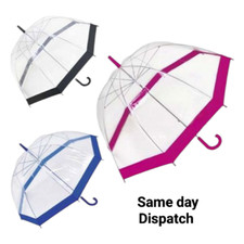 Large 31" Clear See Through