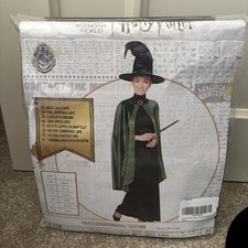 Harry Potter Professor