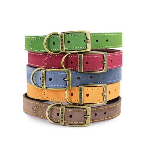 Real leather dog - leather,