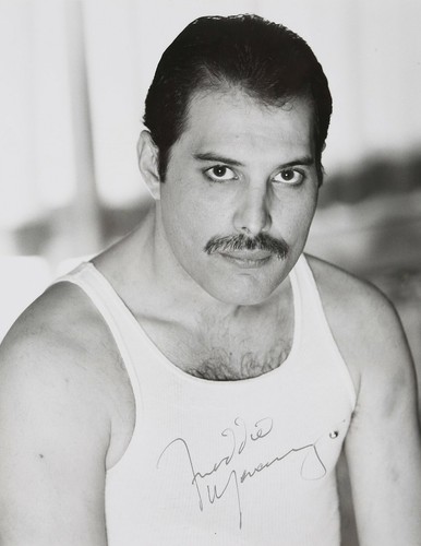 Freddie mercury signed - freddie,