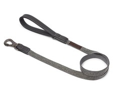 Wainwright's Herringbone Dog
