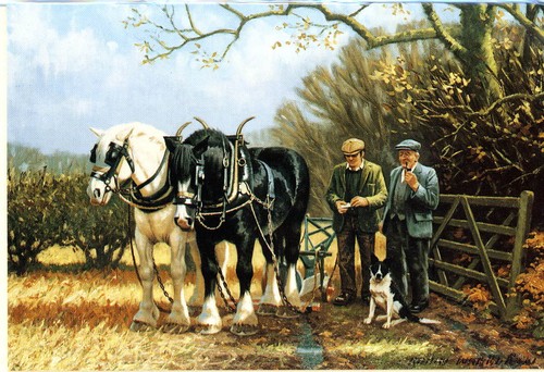 Ready for work horse - 'ready, work'