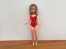 Tammy Doll By Ideal