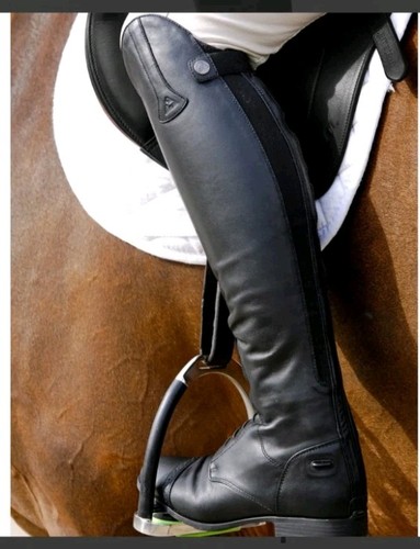 Mountain horse supreme high - mountain,
