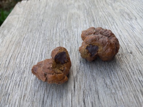 Unusual geode mineral - geode,
