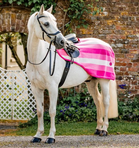 Horseware newmarket exercise - newmarket,