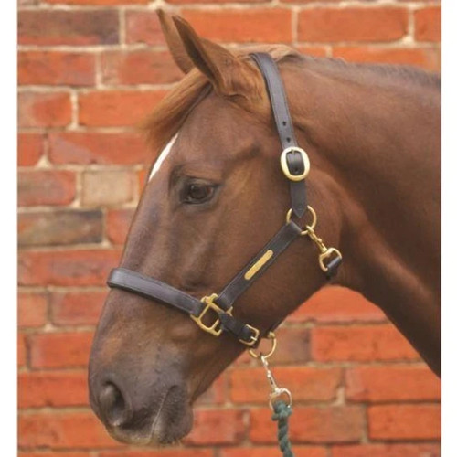 Leather head collar - hy,