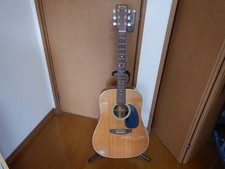 Martin D-28 / Acoustic Guitar