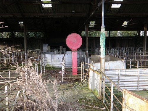 Photo 6x4 pig stalls and - photo,