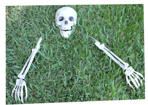 Plastic bones lawn stake - bones,