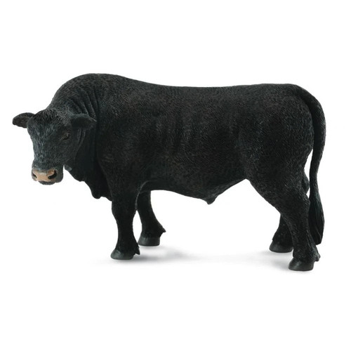 Black angus bull - black,