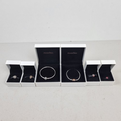 Pandora 925 moments silver - moments,