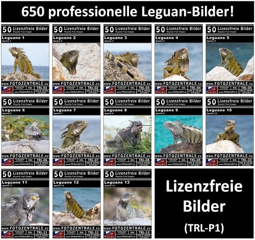 650 royalty free professional - royalty,
