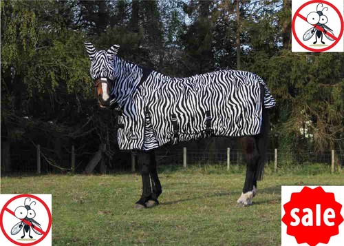 Zebra mesh fly - fly, jump