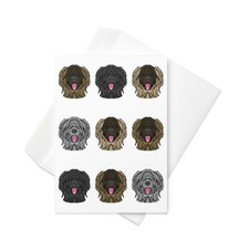 Briard card, Briard Dog