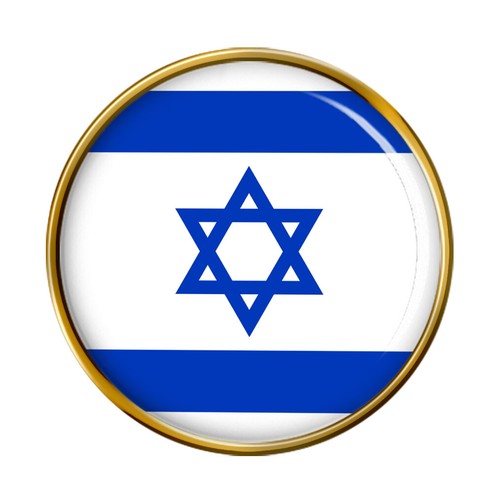 Israel pin badge - pin,