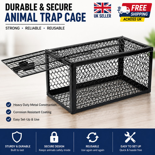 Rat trap mouse - rat,