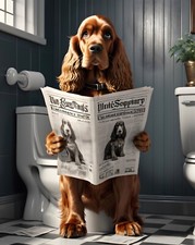 Cocker Spaniel on Toilet Metal sign, Cocker Spaniel plaque, Cocker Spaniel sign