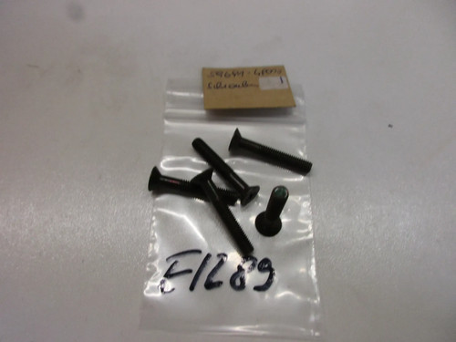 Screw e1289 suzuki 550 - suzuki, e_d
