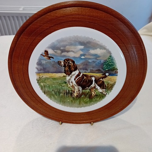 Vintage springer spaniel - springer,