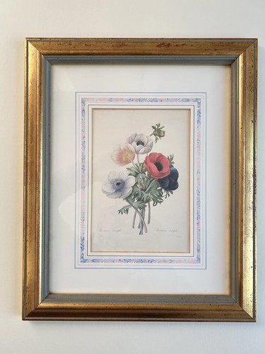 Vintage botanical illustration - vintage,