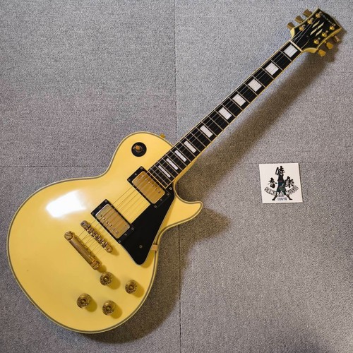 Edwards esp les - esp, custom