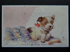CUTE TERRIER DOG at BED TIME A Bit of All Right.... c1930s Postcard by Valentine