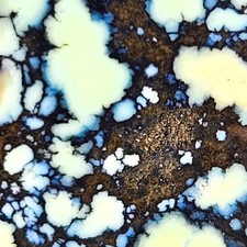 GS1054 Lost Canyon variscite