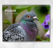 Pigeon Calendar 2026: Monthly Wall Calendar with Notes, opens to A3 Size