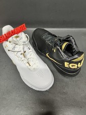 NIKE ZOOM LEBRON NEXT GEN AMPD