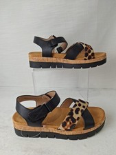 Bellissimo Black & Animal