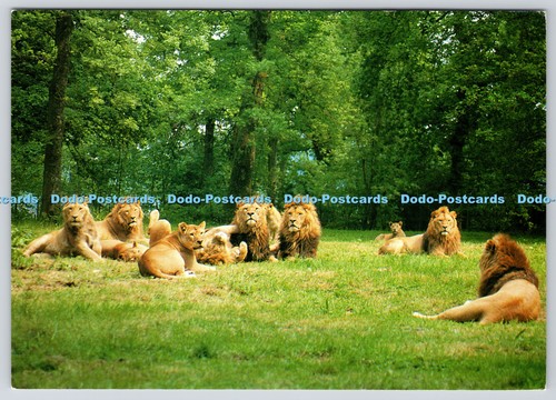 L357898 pride longleat - a,