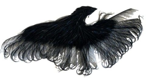 Beautiful millinery exotic - beautiful,