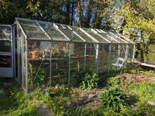 Greenhouse Glass 24" Panes And