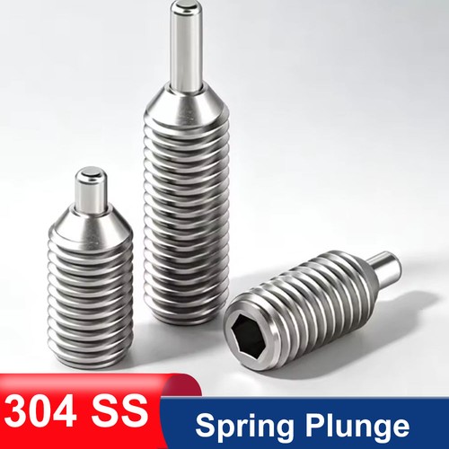 304 spring plunger - 304, ss
