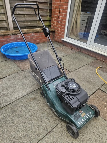Hayter harrier self - hayter, 41,
