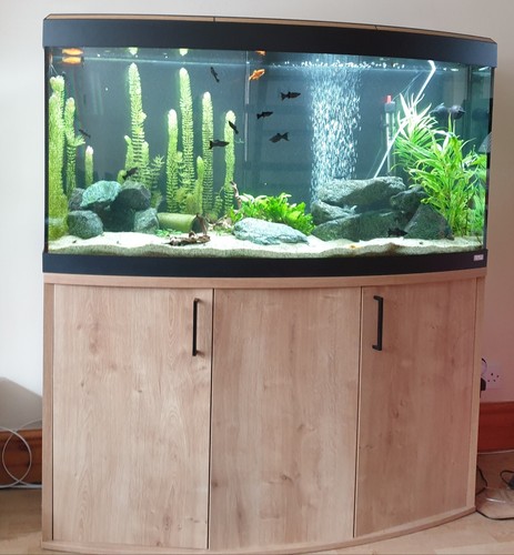 Fluval vicenza 260l aquarium - fluval,