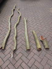 Laburnum logs wood for